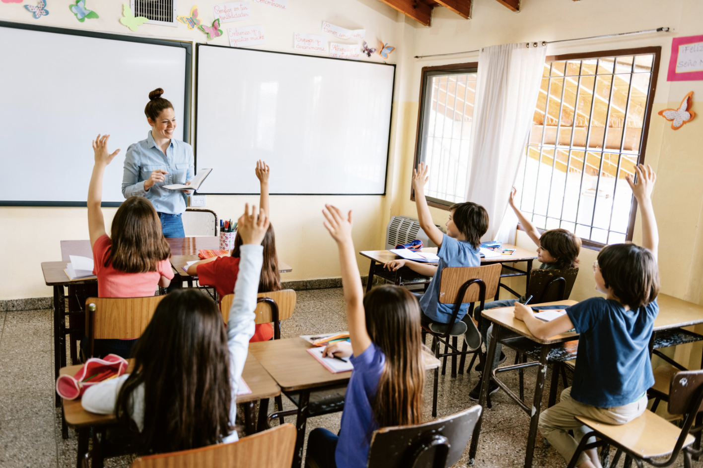 primary pupils in classroom