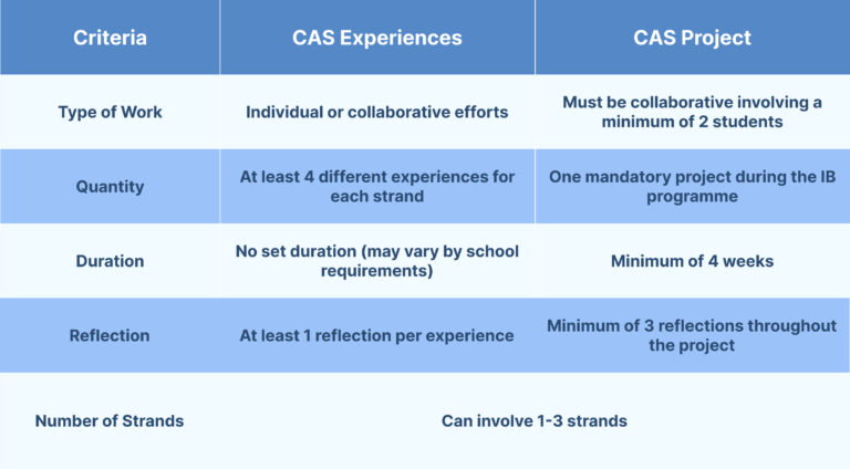 IB CAS Guide 2026: Requirements, Examples & Tips for Success