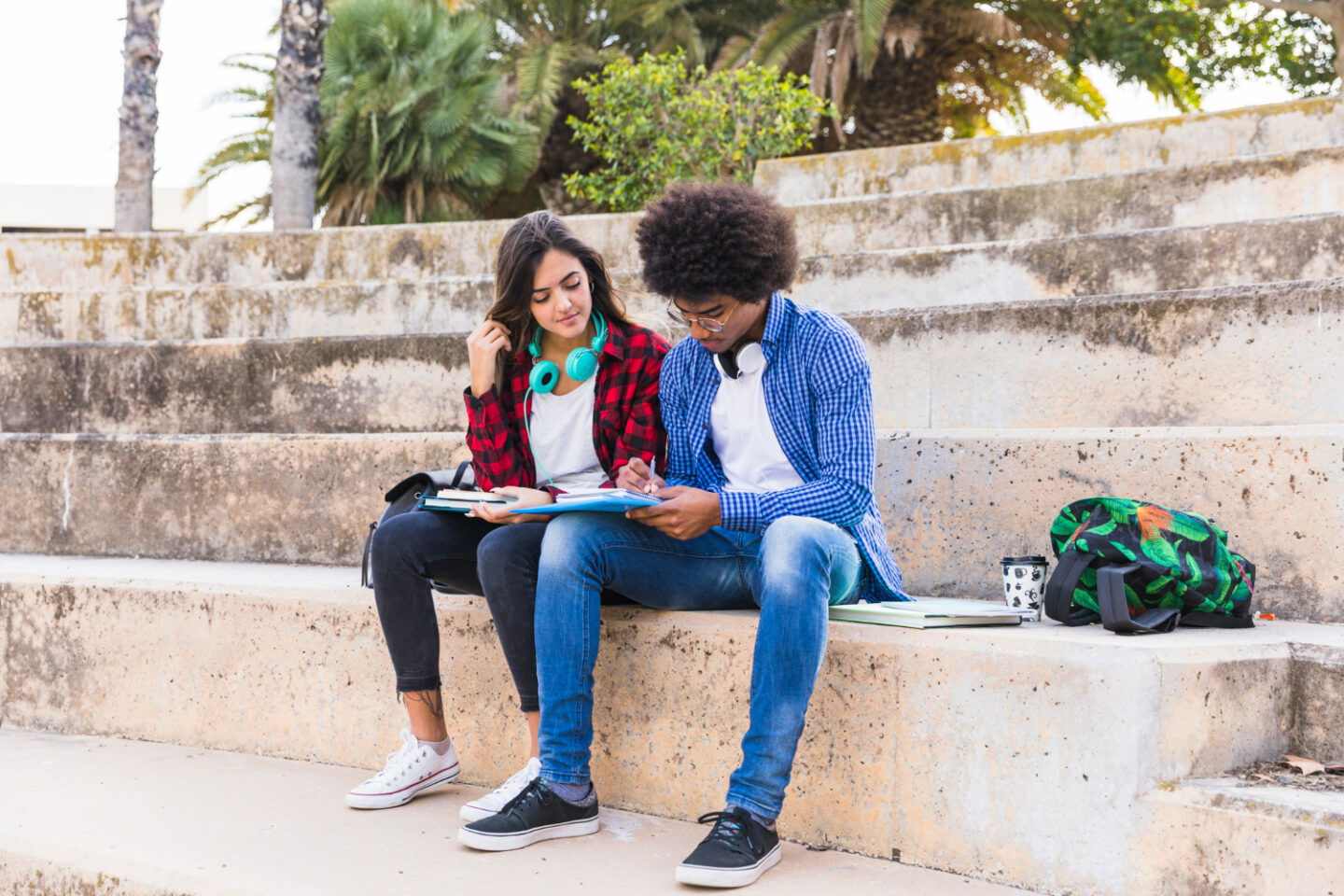 ib sehs exam tips