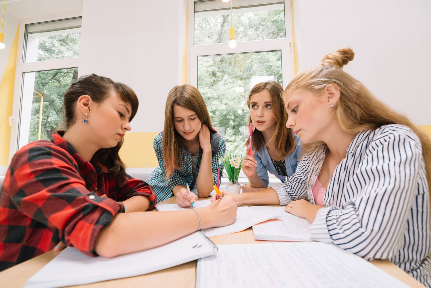 top marks in ib maths