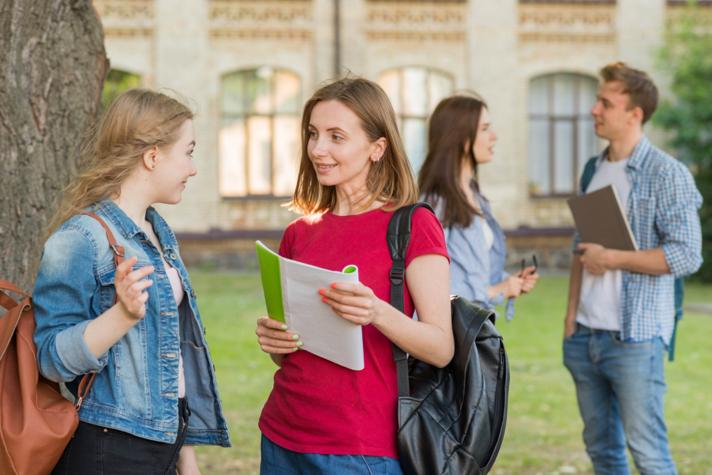 cambridge igcse english first language study